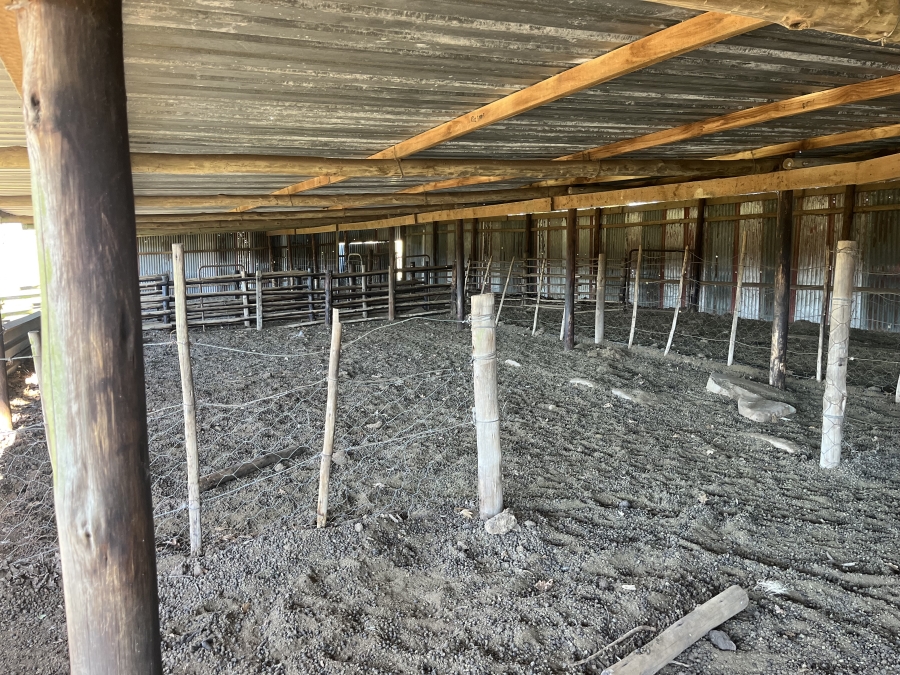 0 Bedroom Property for Sale in Stutterheim Rural Eastern Cape